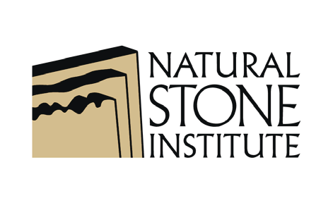 NSA Logo