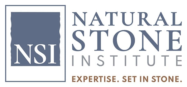 NSA Logo